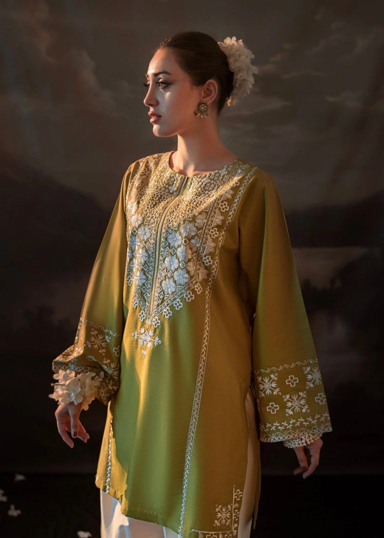 Bin Fatteh Fashion MUGHAL COTTON Women 2pcs