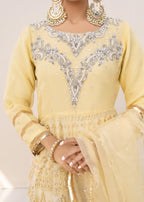 Elahe Zohra Collection 8 Women 3pcs