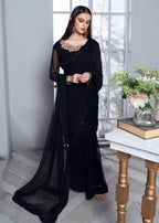 Rang-e-Haya Inaya Saree Women 2pcs