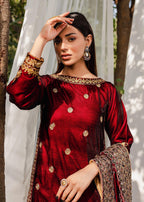 Panache Apparel Surkh Women 2pcs