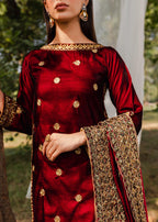 Panache Apparel Surkh Women 2pcs