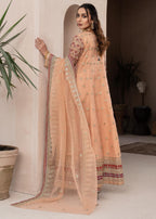 Zebaye US550 Peach Women 3pcs