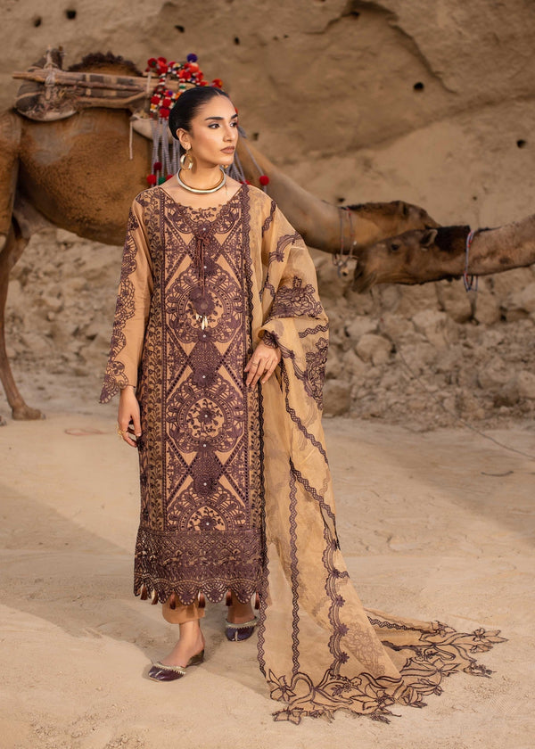 Sara Jahan AD 037 Women 3pcs