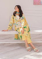 Ghulabri TULIP Women 2pcs