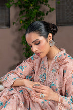 Lakhany Stitched Embroidered Khaddar Women 2pcs