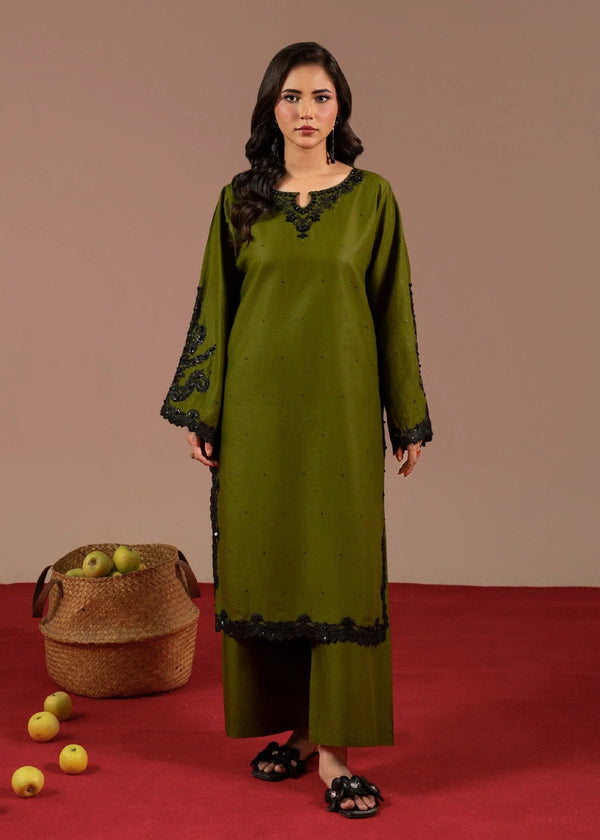 Chaudhary Arts Shanzay Embroidered Women 2pcs