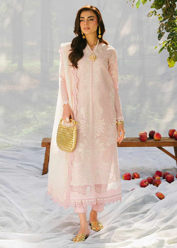 Bin Ilyas 234A Women 3pcs