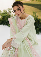 Bin Ilyas 236A Women 3pcs