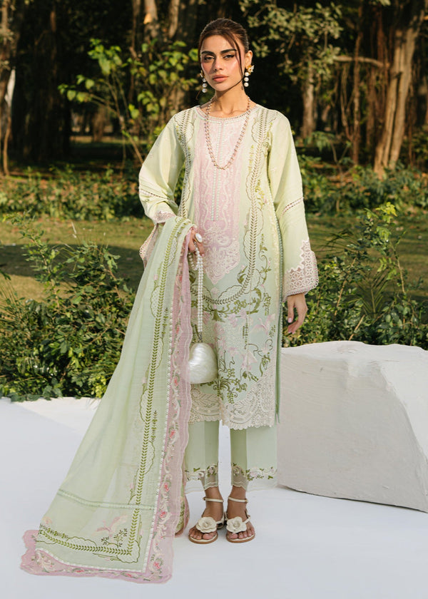 Bin Ilyas 236A Women 3pcs