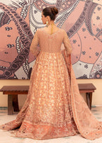 Diara Couture RADIANT VOWS PNMT 01 07 Women 3pcs