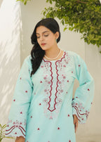 Stylish Collection PAKEEZA SKY BLUE Women 3pcs
