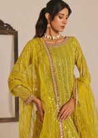 Ayesha Closet Shadmani Green Drift Women 3pcs
