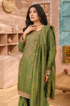Rang-e-Noor RNF 11 Women 3pcs