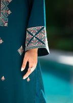 Chaudhary Arts Blink Embroidered Women 2pcs