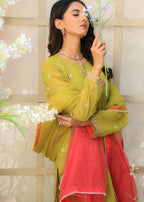 Najia Zia Compassion Stitched Set Women 4pcs