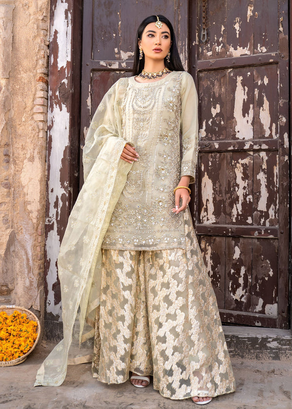 Elahe Zohra Collection 2 Women 3pcs