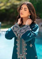 Chaudhary Arts Blink Embroidered Women 2pcs