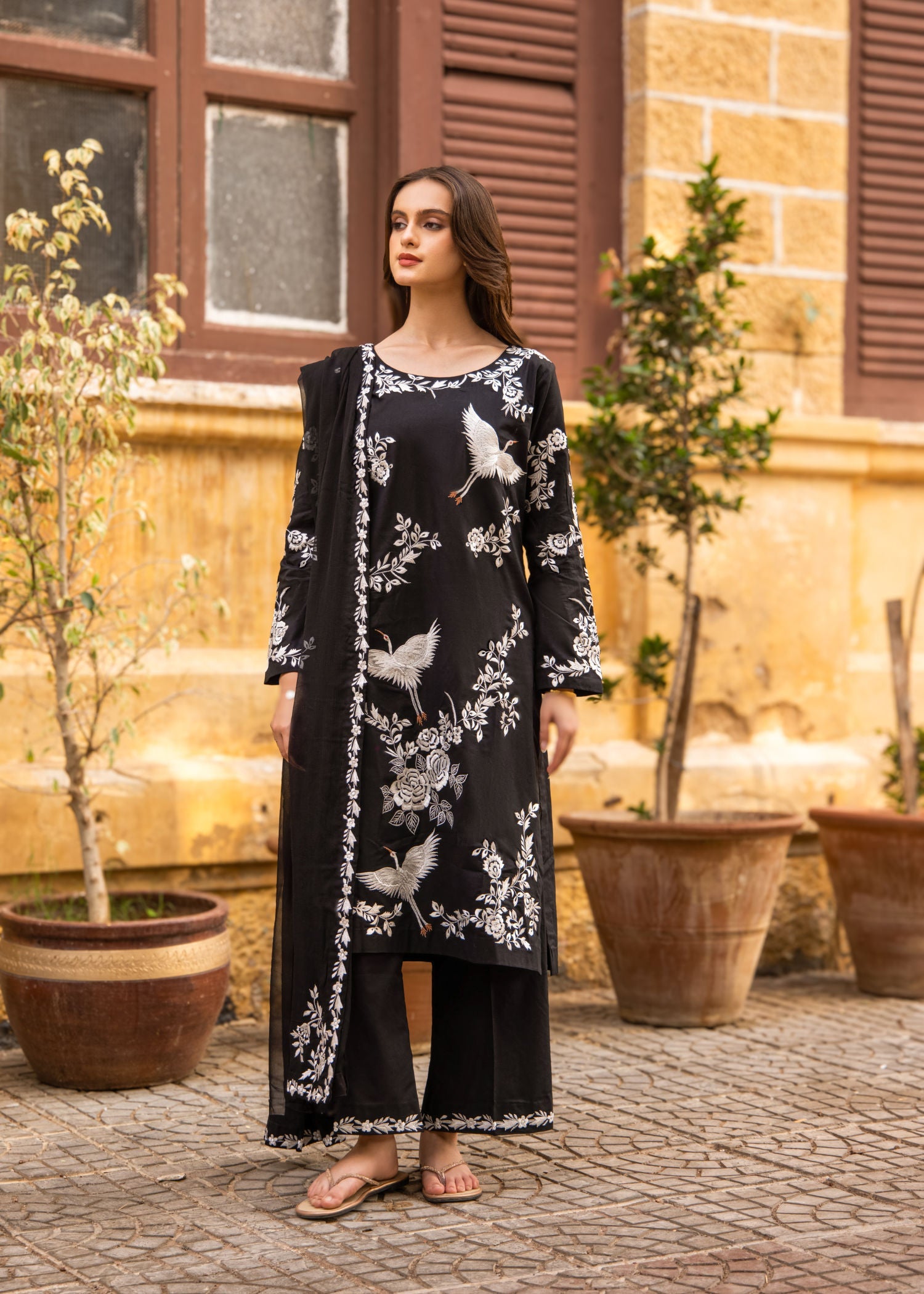 Zebaqi Bliss Women 3pcs