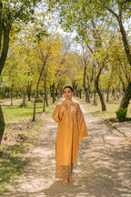 Urge Pret CAROLINA Women 3pcs