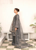 Pehnawa By Bin Akram’s Grey Grace Chiffon Women 3pcs