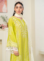 Sheeza D SD PA3 005 25 Women 3pcs