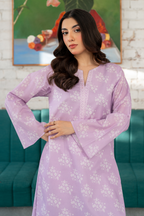 Esra Printed Silk Lawn DL 25 06 Women 2pcs