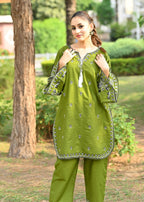 Chaudhary Arts Hijab Embroidered Women 2pcs