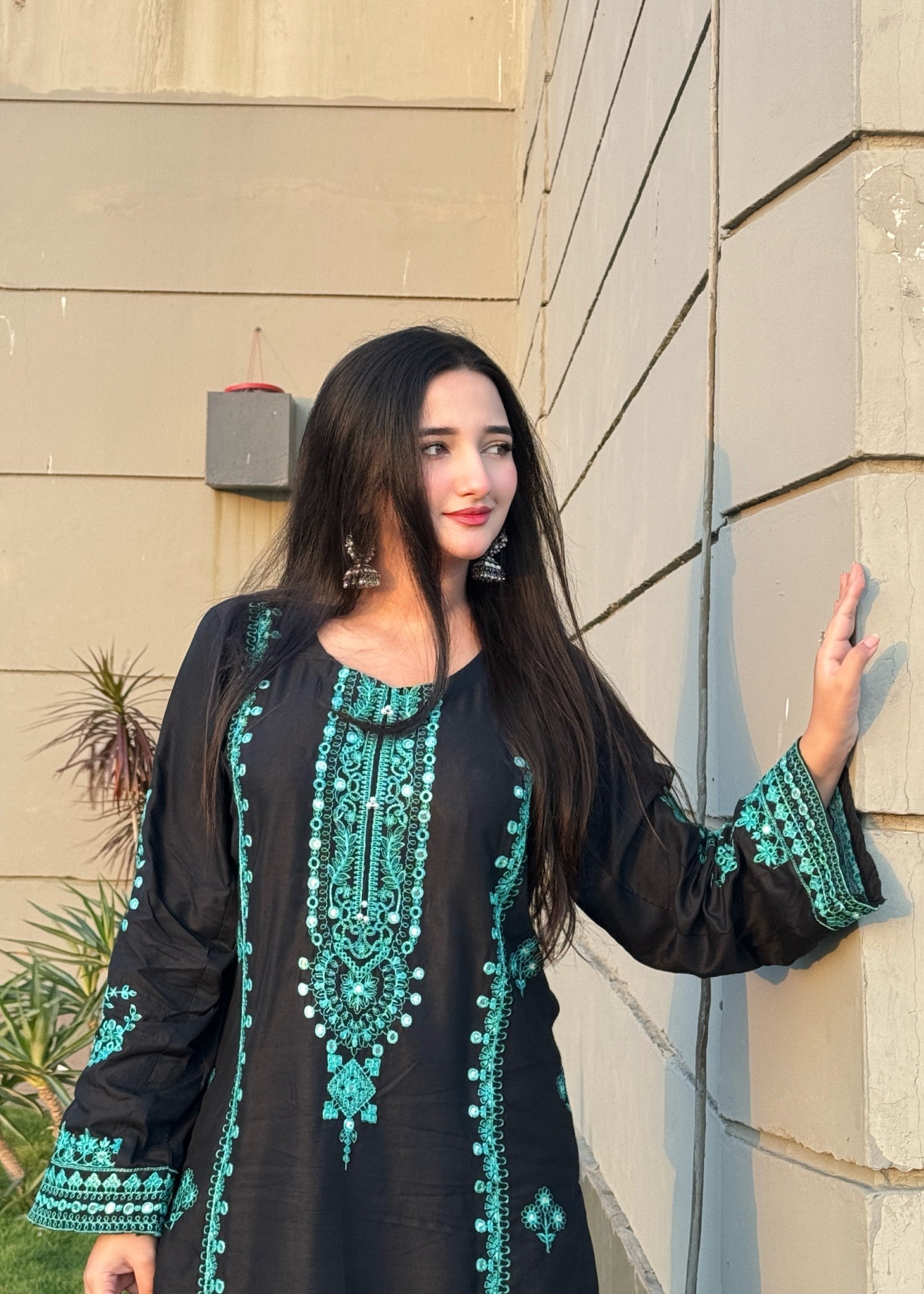 Chaudhary Arts kaira Embroidered black Women 2pcs