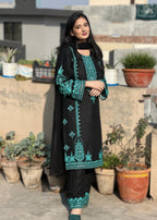 Chaudhary Arts kaira Embroidered black Women 2pcs