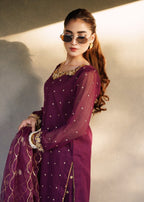 Laal Clothing NLC 040 Women 3pcs