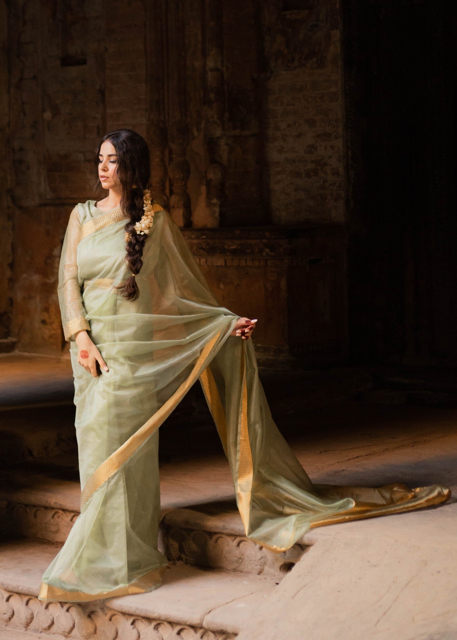 Noroz Moss Zari Organza Saree Women 3pcs