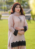 Stitch Vibes Rosee Pure Silk Farshi Shalwar Women 3pcs