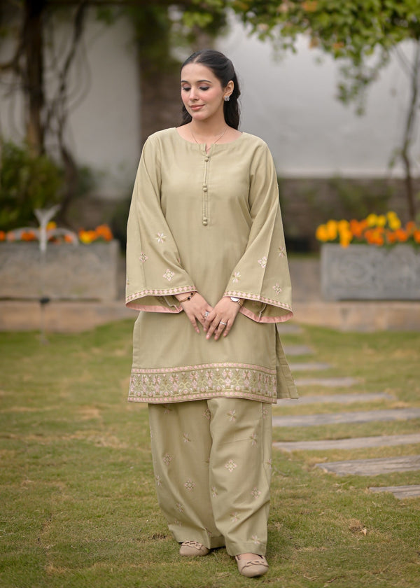 Ayesha Mubariz Zerua – Khaddar Pistachio Green Embroidered Pret (AM023) Women 2pcs