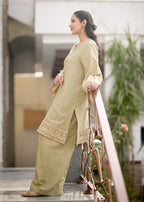 Ayesha Mubariz Zerua – Khaddar Pistachio Green Embroidered Pret (AM023) Women 2pcs