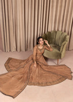 Alliyas_By_Farooqkhalid A 171 BR Women 3pcs