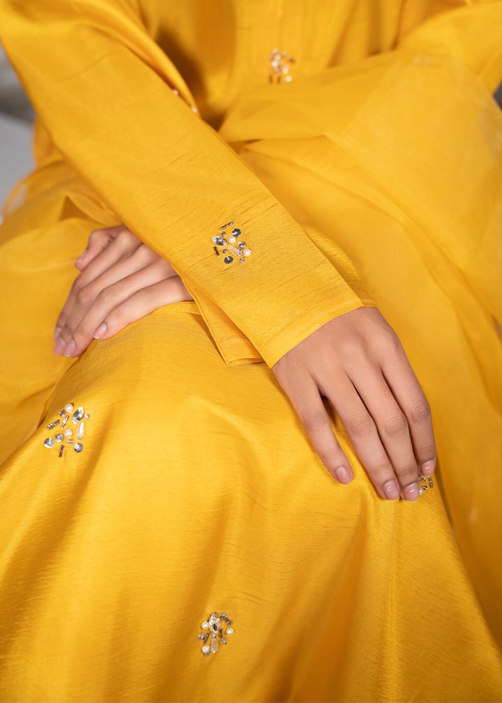 Laleen Resham Women 3pcs