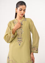 Zeen Stitched Embroidered Cotton Net Suit WZM25170 Women 2pcs