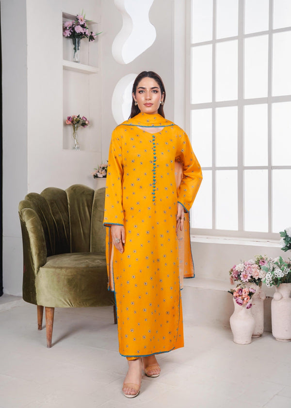 Fatima Noor’s Bi 014 1 Women 3pcs
