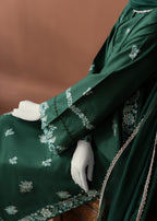 Zaira and Mahnoor sage suit Women 3pcs