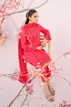 Kiara Flamingo Women 3pcs