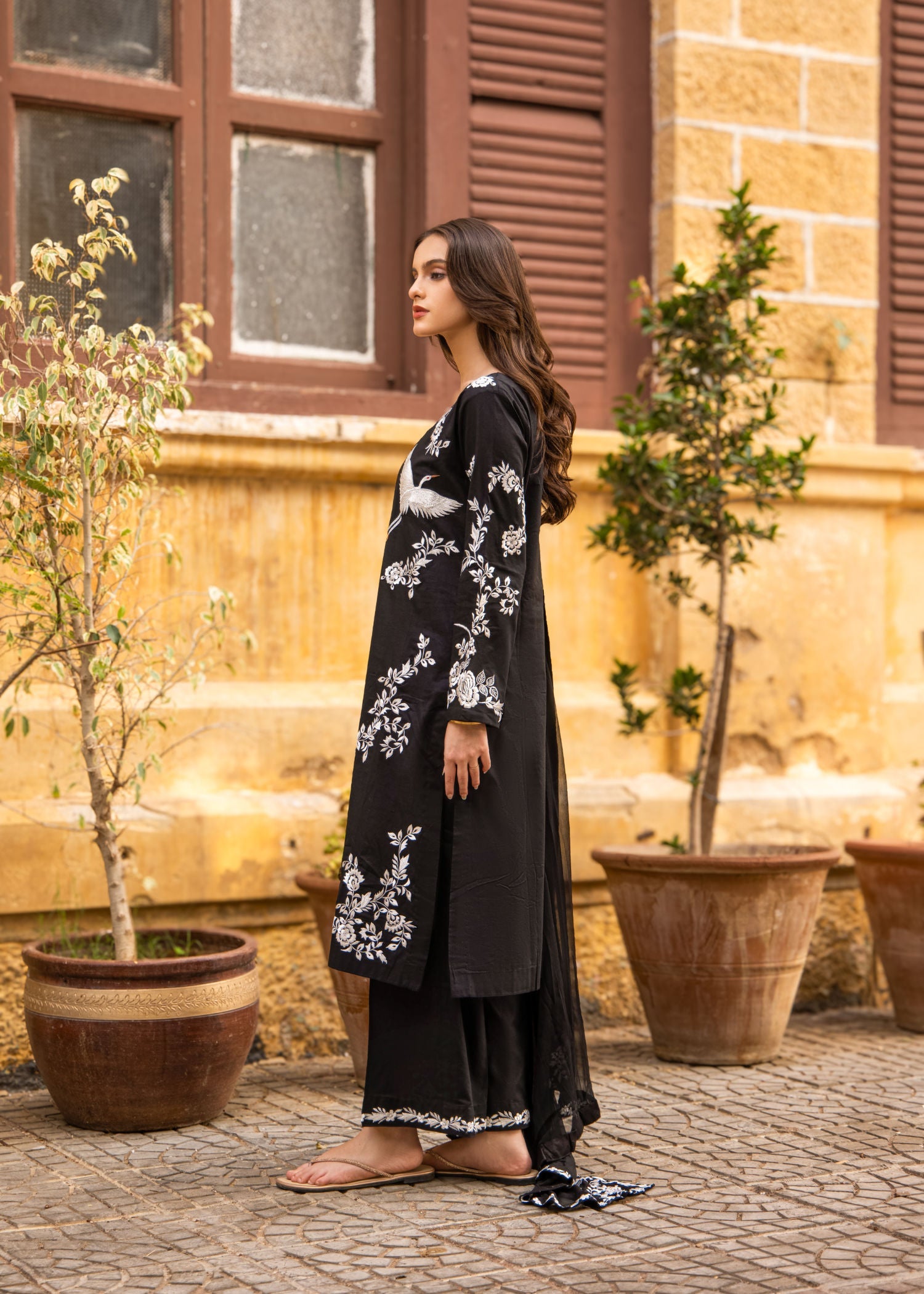 Zebaqi Bliss Women 3pcs