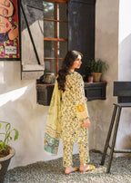 Panache Apparel Canary Women 3pcs