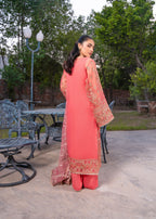Hem Arrosh Women 4pcs