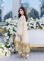 Meem Designs Pure Chiffon Double Shaded MD 03 Women 4pcs