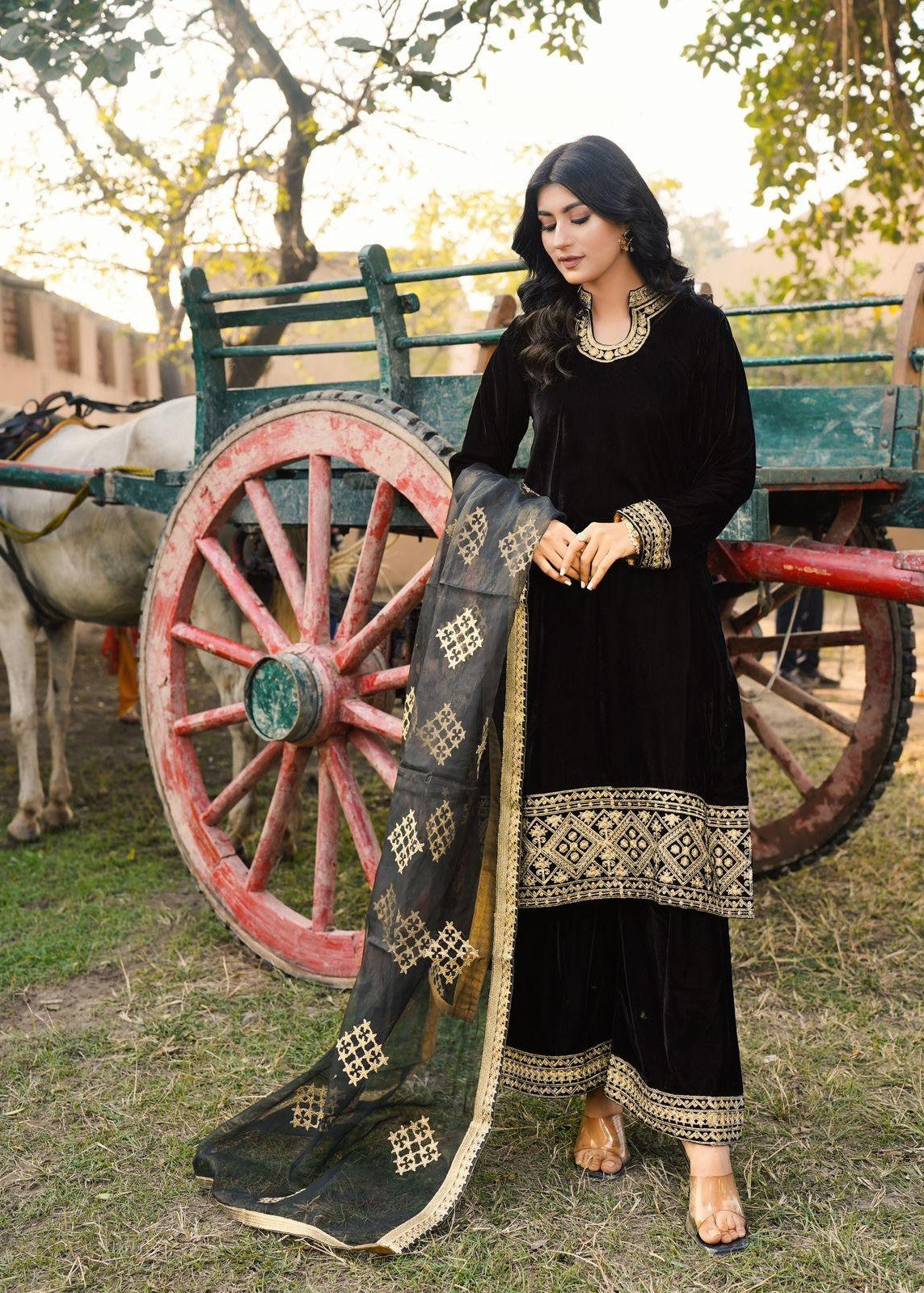 Akhrot Clothing Black Haseena Velvet Women 3pcs