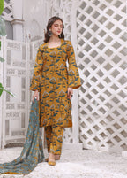 Feathers AZA Women 3pcs