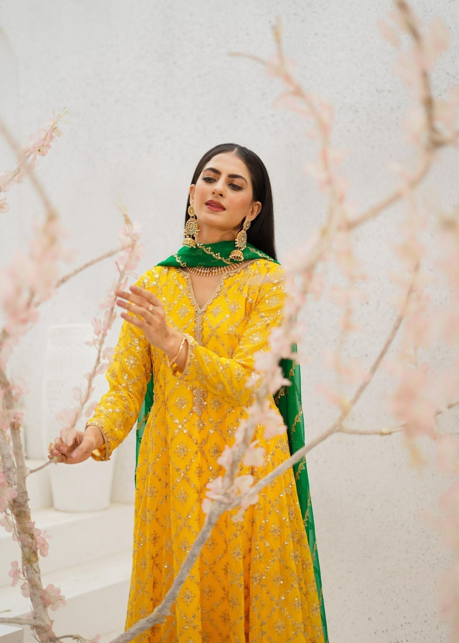 Ayesha Closet Malikaa Yellow Glow Women 3pcs