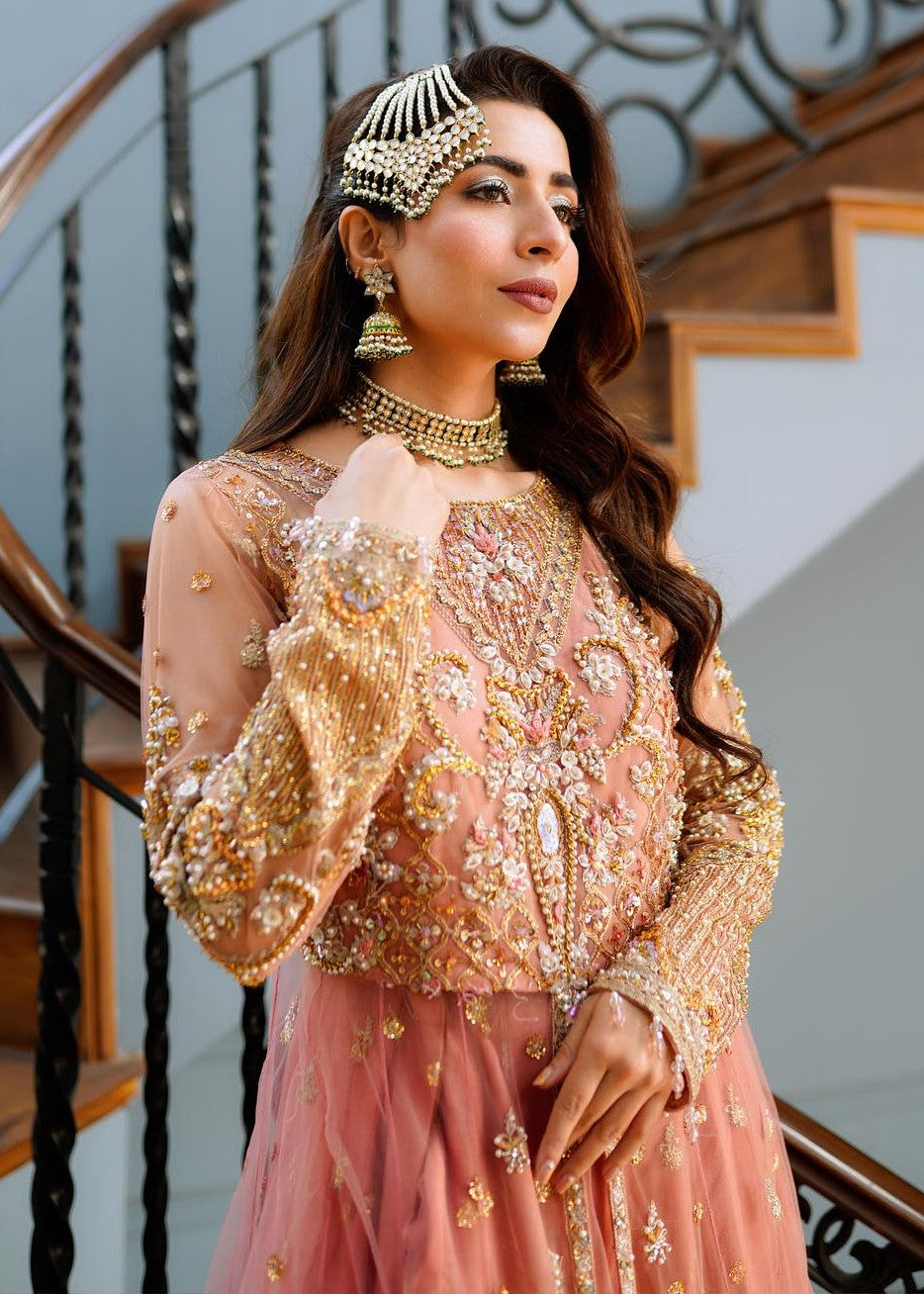 Rang-e-Meeras WASL Women 3pcs