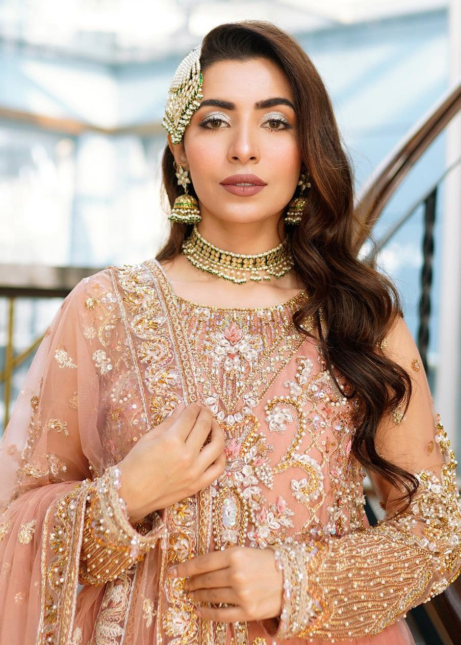 Rang-e-Meeras WASL Women 3pcs