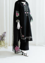 Zaira and Mahnoor Nia Women 2pcs
